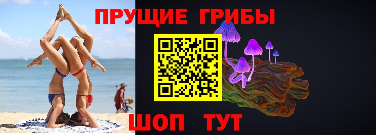 Ленинск-Кузнецкий  Галлюциногенные грибы Psilocybine cubensis  Вход с VPN 